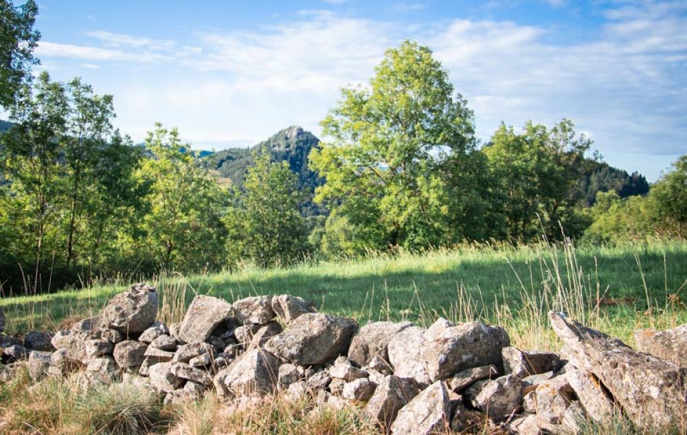 que faire en auvergne